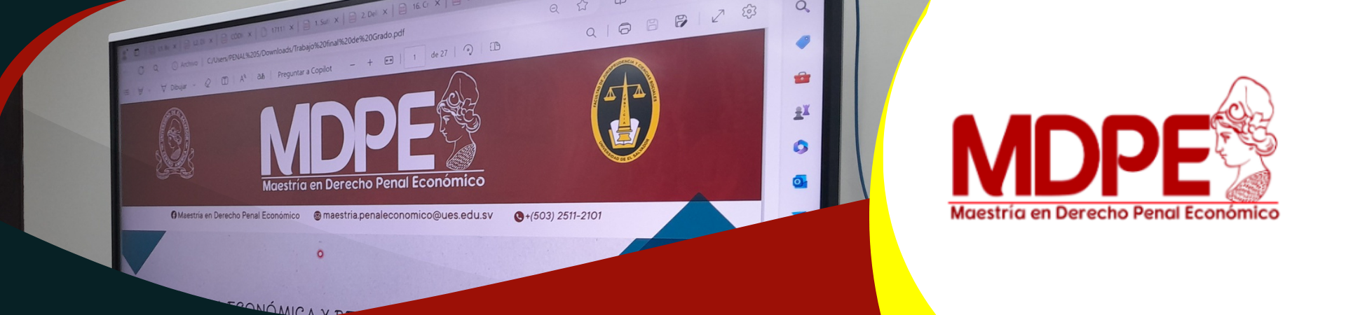 Maestría en Derecho Penal Económico